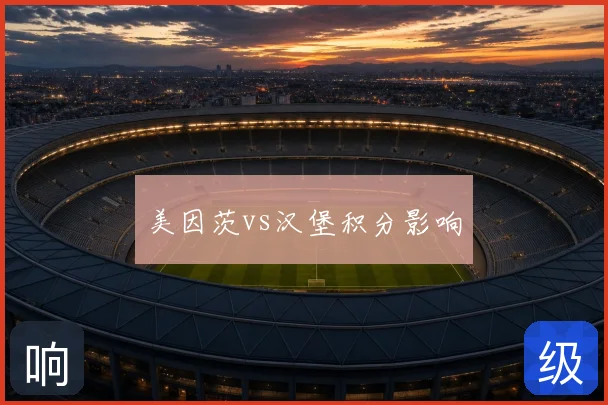 美因茨vs汉堡积分影响